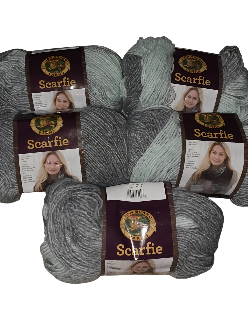 Lion Brand Scarfie Yarn Mint Silver Bulky #5 – 5 Skeins 1,560 Yards